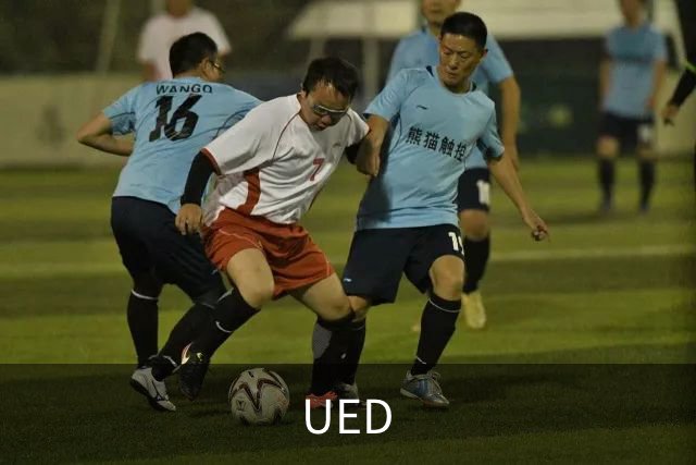 UED公司简介展示图